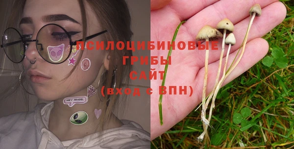 дживик Армянск