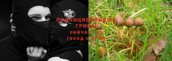 крисы Арсеньев